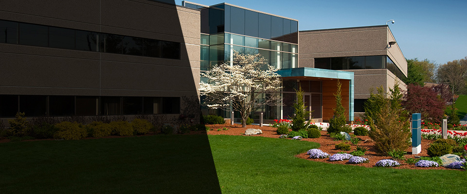 Green Lane Landscapers