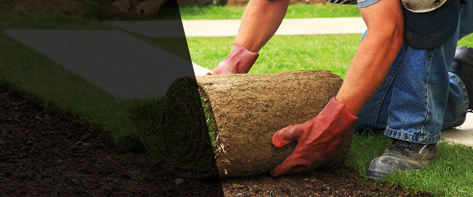 Green Lane Landscapers